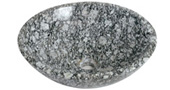 MSV-225